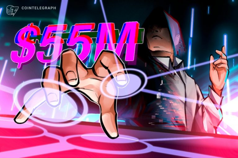 Kripto para hırsızları balinanın cüzdanından 55 milyon dolar çaldı