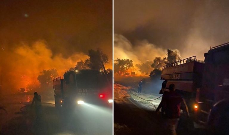 İzmir Urla'da Akdeniz orman yangını: Alan boşaltıldı! – Türkiye'den son dakika haberleri