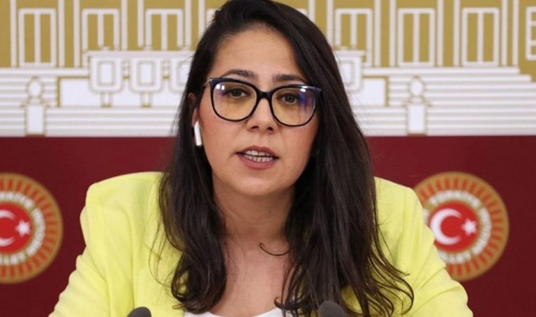 Sera Kadıgil'den Ömer Çelik'e: Faşistler düşmanımız iken ancak çırak sahibi olabilirsiniz – Son Dakika Siyasi Haberler