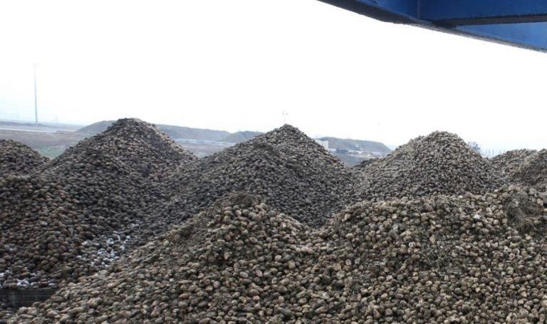 Muş’ta rekor alım: Hedef 56 bin ton… – Son Dakika Hayat Haberleri