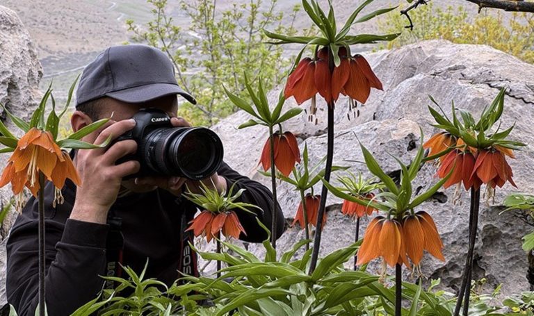 Fotoğraf meraklılarının yeni adresi: Gösee Dağı’nda “Gelinler Ağlayan Gelinler” – Son Dakika Kültürü – Haberler.