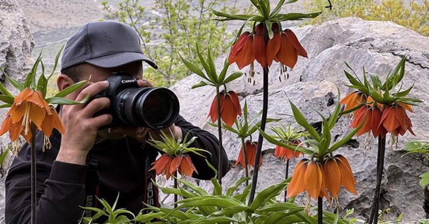 Fotoğraf meraklılarının yeni adresi: Gösee Dağı’nda “Gelinler Ağlayan Gelinler” – Son Dakika Kültürü – Haberler.