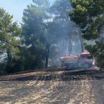 Antalya’da ormanlık alanda çıkan yangın kontrol altına alındı