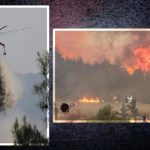 Sakarya’da, Bilecik’te, İzmir’de, Karabük’te ve Eskişehir’de orman yangını!