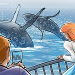 Dev Bitcoin balinası Trump’ın seçilmesinden sonra BTC rezervini iki katına çıkardı