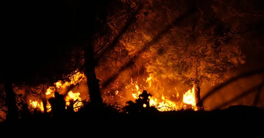 6 ilde orman yangınları sürüyor… İşte an an son durum! – Son Dakika Türkiye Haberleri