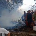 Mahalleli birlik oldu, orman yangınına kovalarla müdahale etti