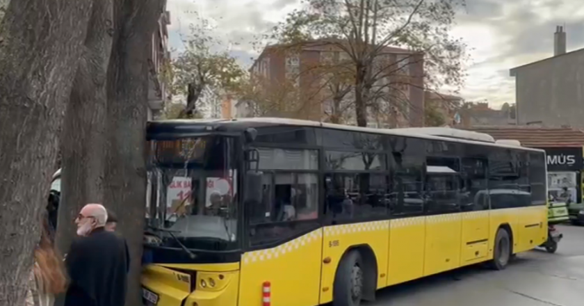 Bağcılar’da İETT Otobüsü Ağaçla Çarpıştı