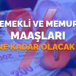 2026’da Emekli ve Memur Maaş Artışları: SSK ve Bağ-Kur Ücretleri Ne Kadar Yükselecek?