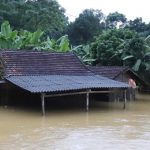 Vietnam'ı sel ve heyelan vurdu: 28 ölü